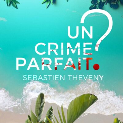 Un crime parfait - Sébastien Theveny 2020